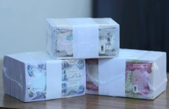 97 تريليون دينار ديوناً داخلية